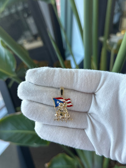 14k Yellow or White Gold Coqui With Puerto Rican Flag Pole Pendant - General Design Jewelers